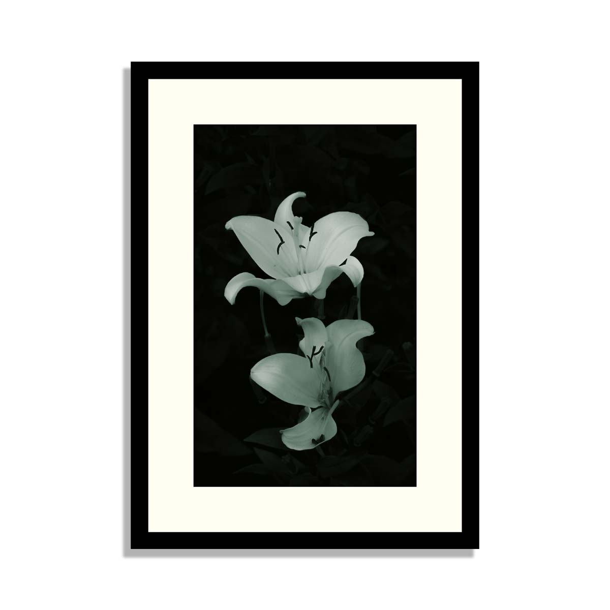 Set of 6 Floral Framed Art Floral Framed Wall Art Framed Art Framer