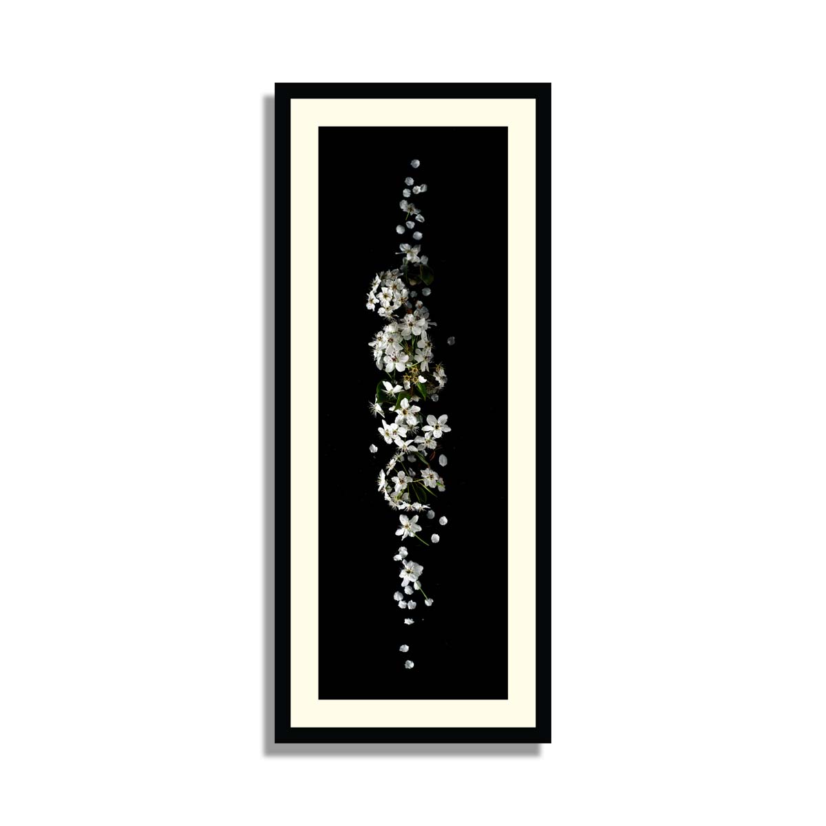 Framed Art Set Of 6 Floral Framed Wall Art Framer.pk