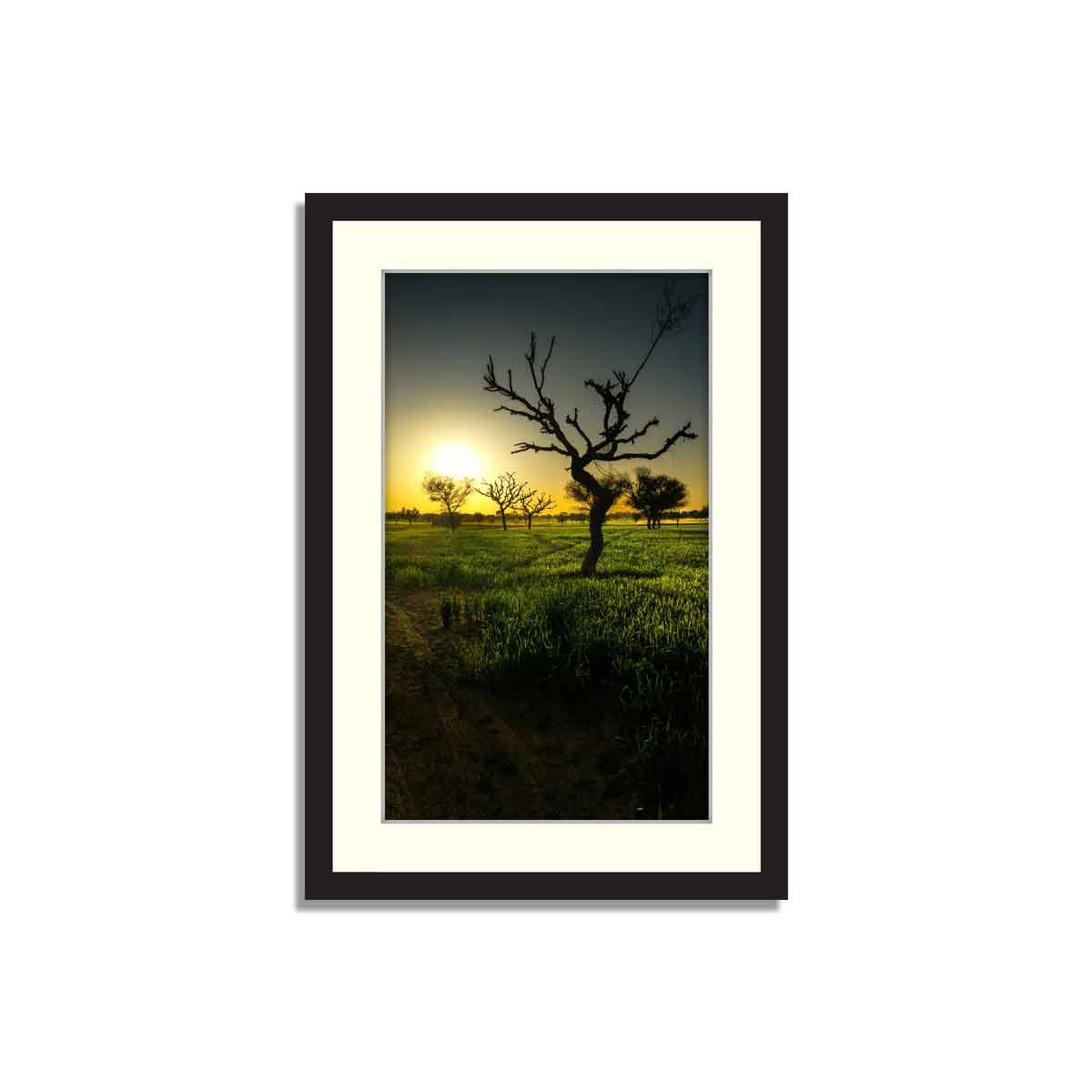 Set of 3 Scenic framed Art – Framer