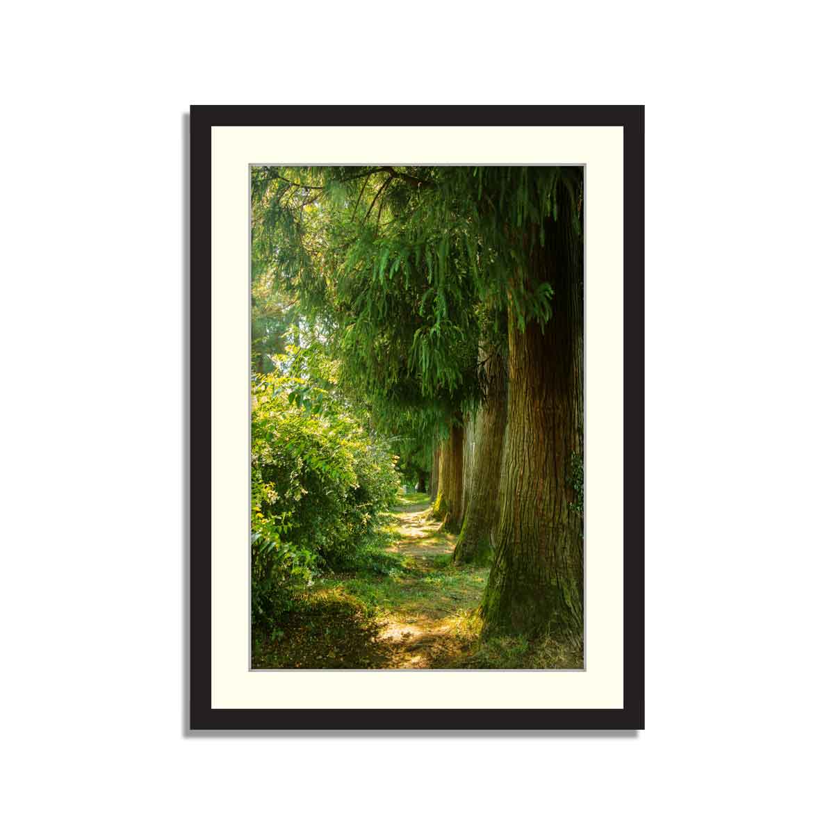 Set of 3 Scenic framed Art – Framer
