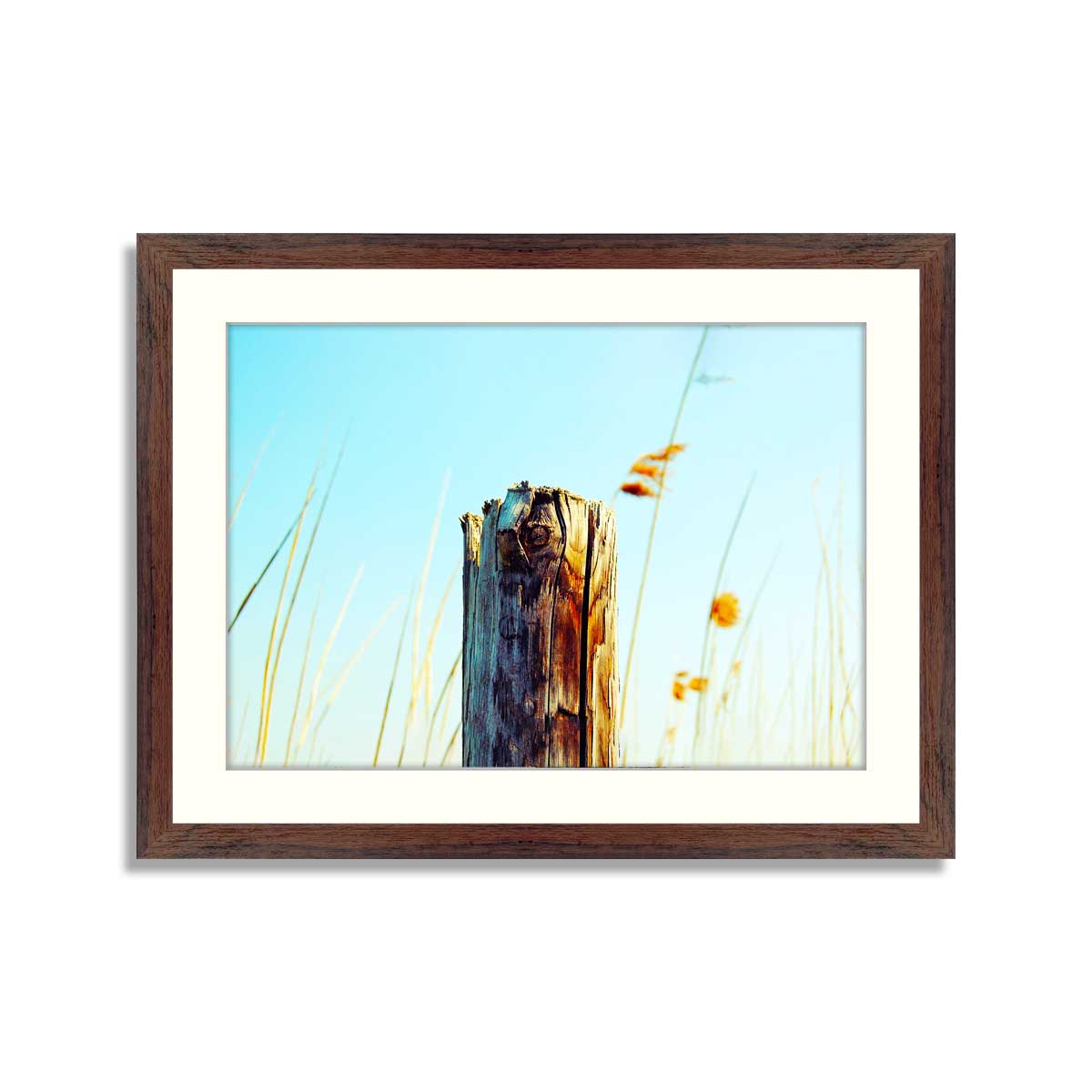 Tree Stump Writing Frame Tree Stump – Framer