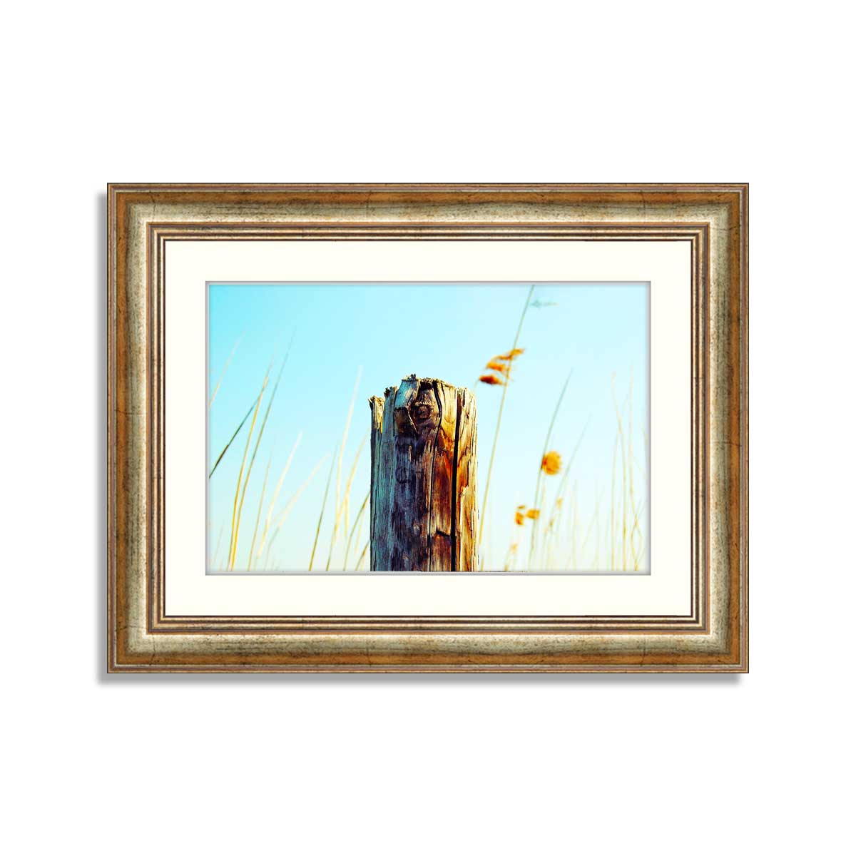 Tree Stump Writing Frame Tree Stump – Framer