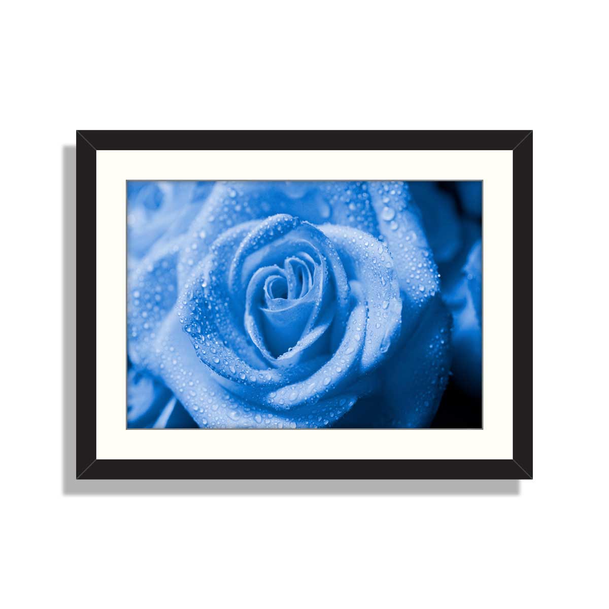 Drops Blue Rose – Framer