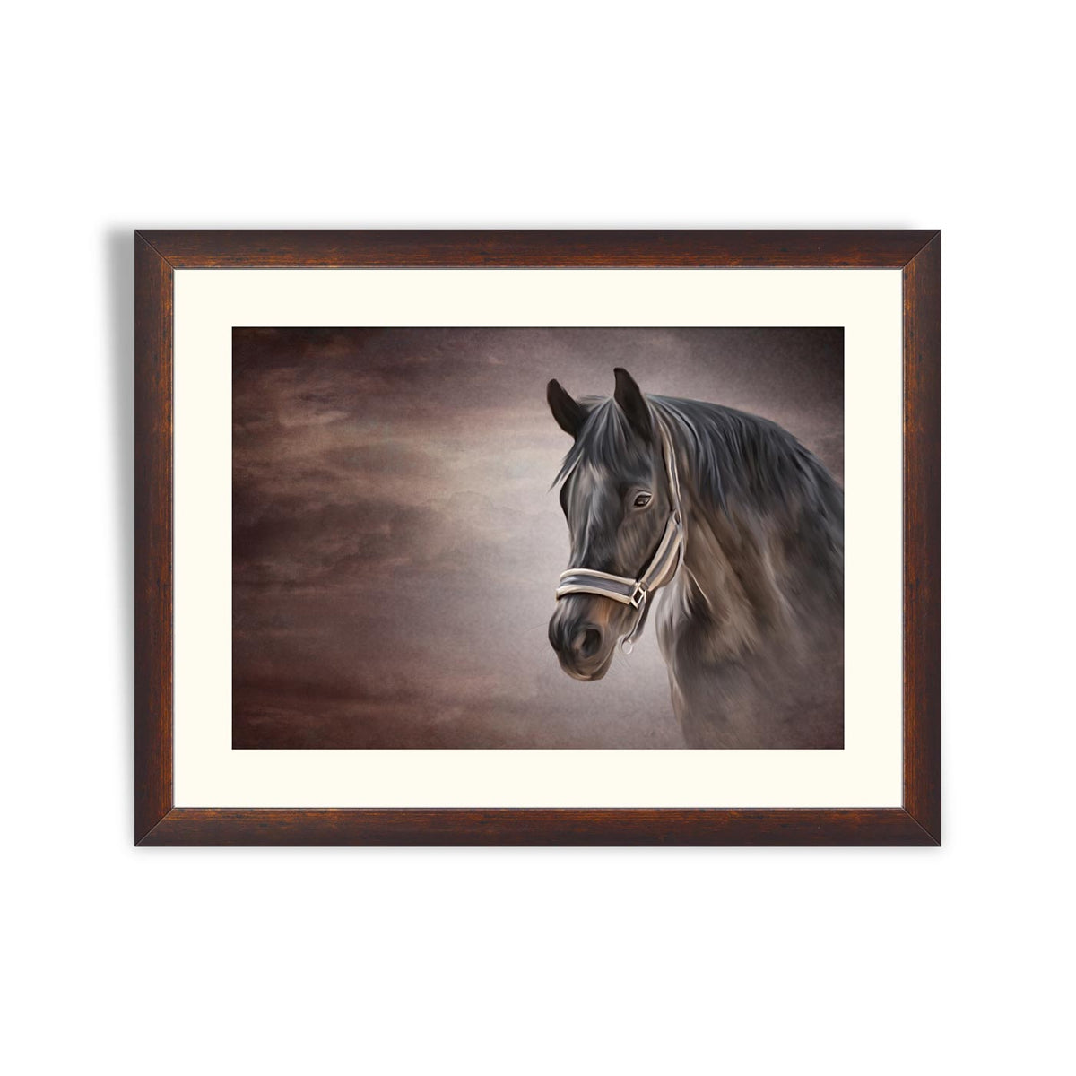 Drawing horse portrait – Framer