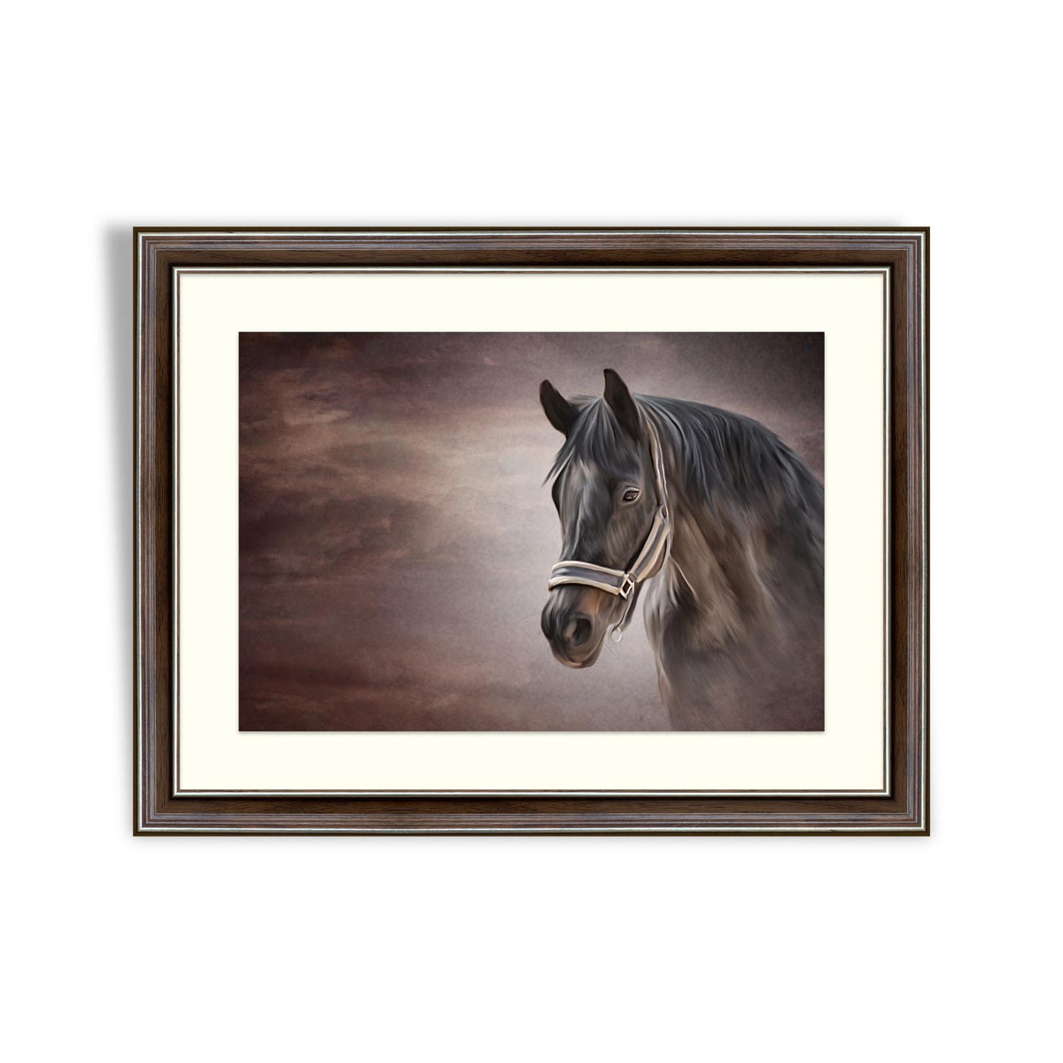 Drawing horse portrait – Framer