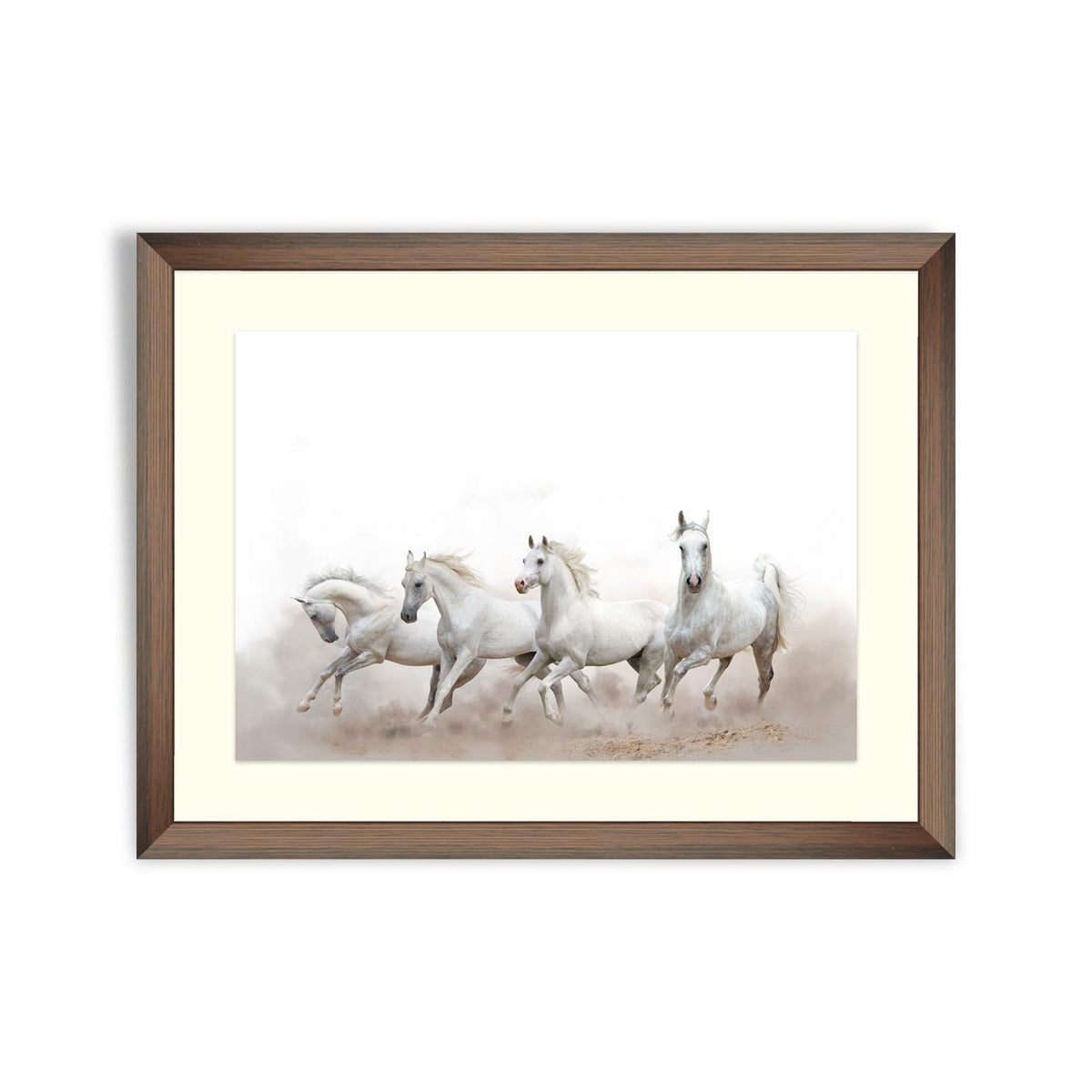 White Arabian horses – Framer