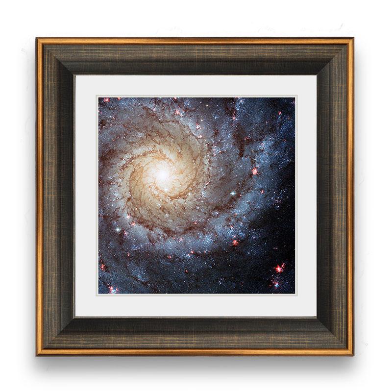 Buy Science Frame Online | Science Photo Frame | Framer.pk