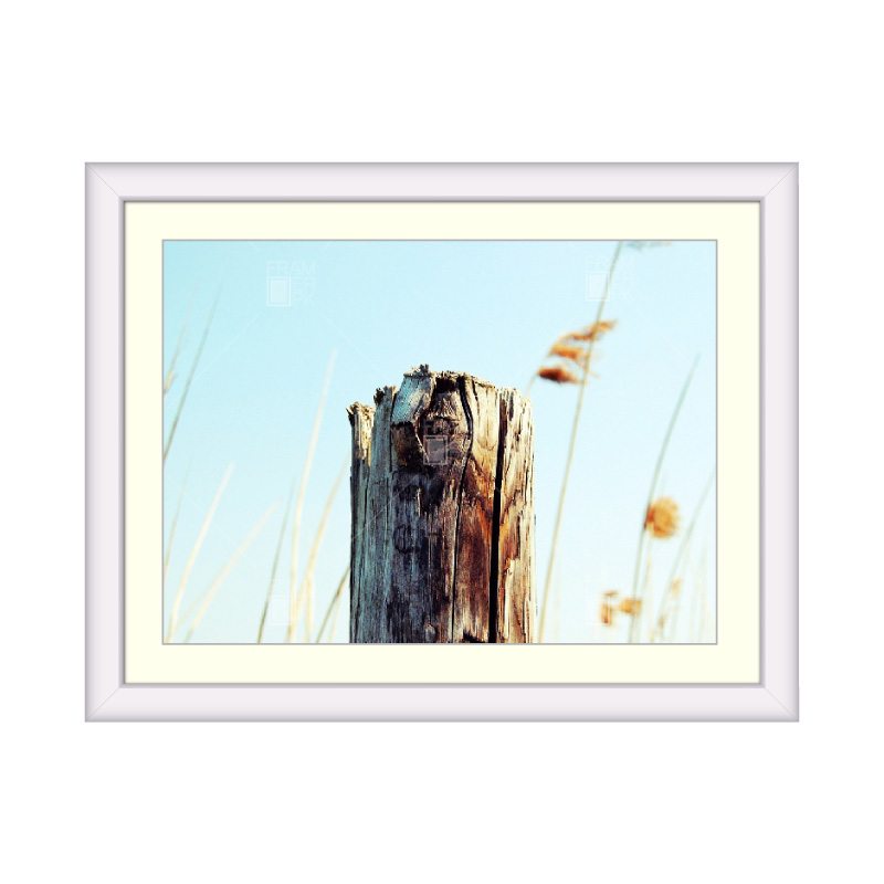 Tree Stump Writing Frame Tree Stump – Framer