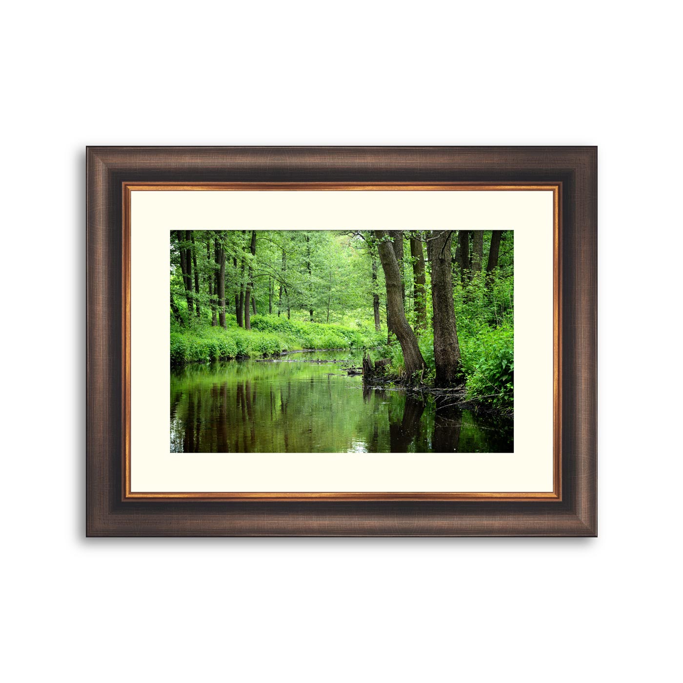 Forrest Frame Forest river scene – Framer