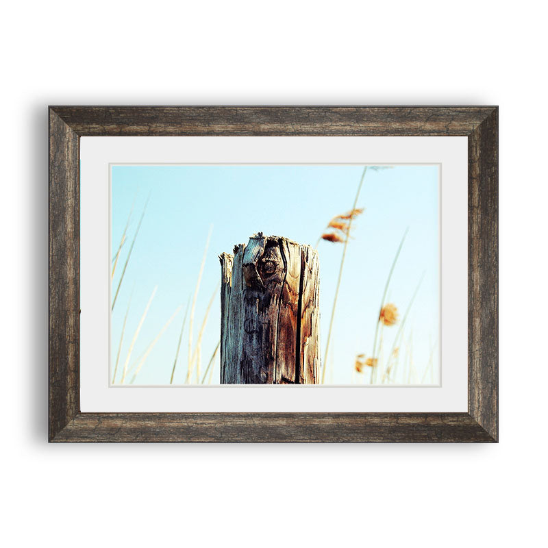 Tree Stump Writing Frame tree-stump-nature – Framer