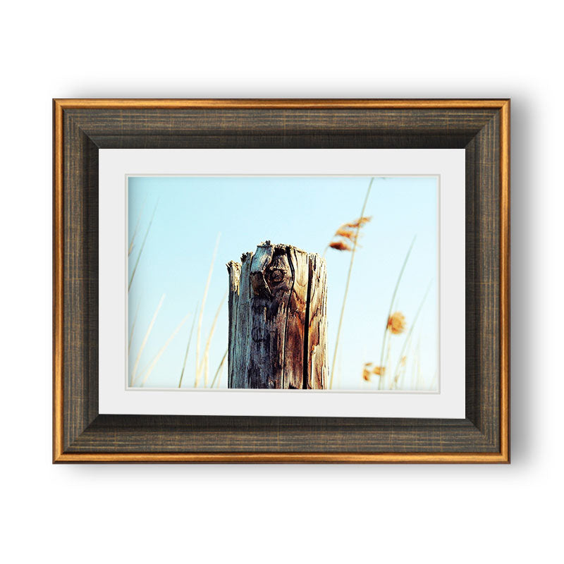 Tree Stump Writing Frame tree-stump-nature – Framer